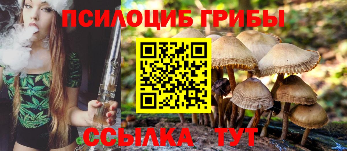Псилоцибиновые грибы Psilocybine cubensis Мичуринск