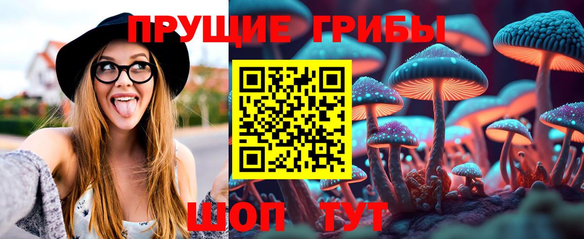 Мичуринск  Псилоцибиновые грибы мицелий  Вход с VPN 